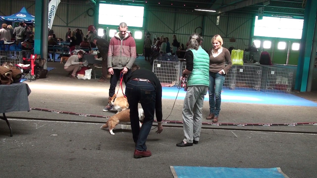 HASHFAN SKYLIGHT test de caractère