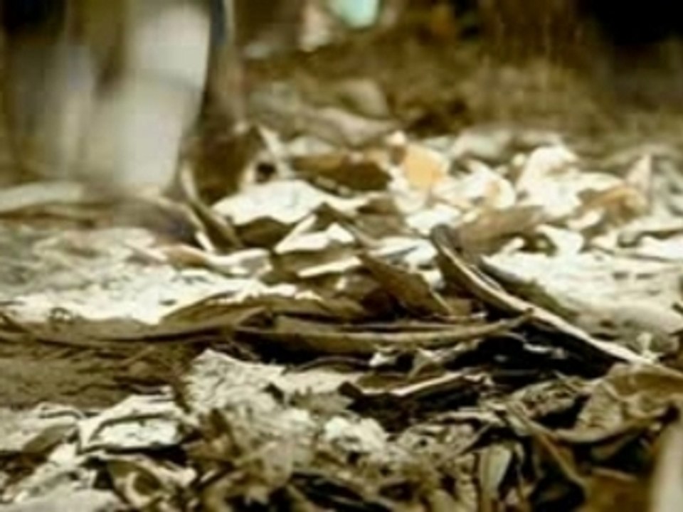 Nelly Furtado - All good things