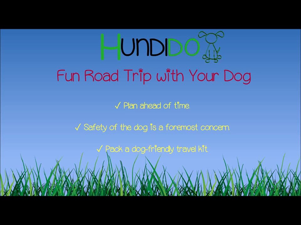 Fun Road Trip with Your Dog