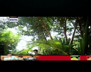 Shehzada Saleem Episode 49 Full on Ary Digital in High Quality 14th April 2016