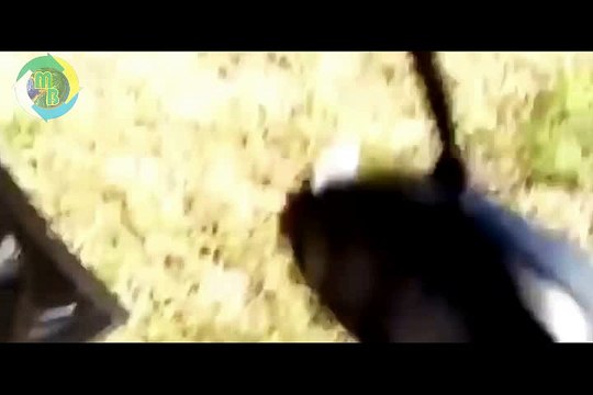 Será que realmente estamos sozinhos no universo