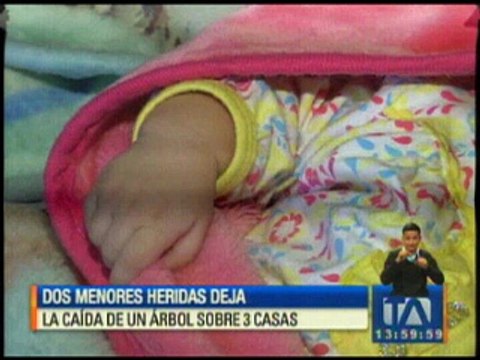 Dos menores heridas deja la caída de un árbol sobre tres casas