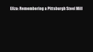[Read Book] Eliza: Remembering a Pittsburgh Steel Mill  EBook