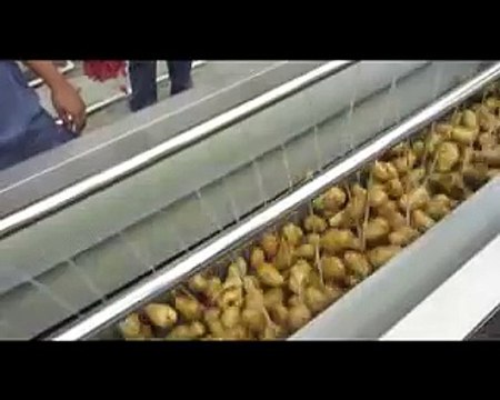 high efficiency quantity potato peeling machine cucumber dicing shredding slicing machine RAZORFISH