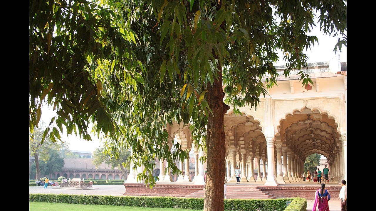 Vlog 20: Agra (TAJ MAHAL & Co)