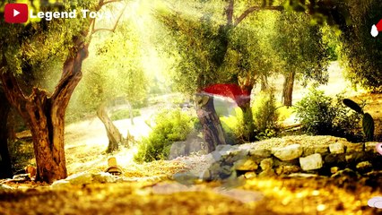 Tom and Jerry Alphabet ABC Songs  Nursery Rhymes Song Lyrics For Kids