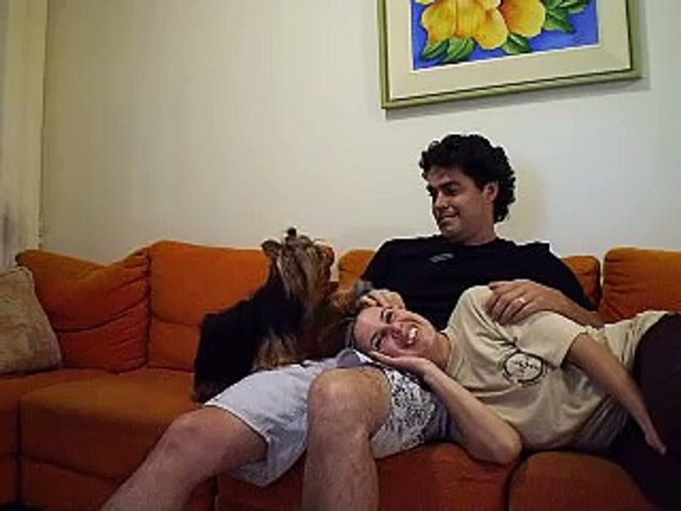 Cachorro Ciumento 'Nick'