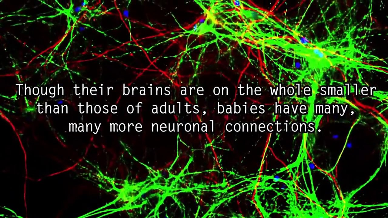 5 Scary Things You Should Know About Your Brain