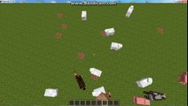 Minecraft More Player Models 2