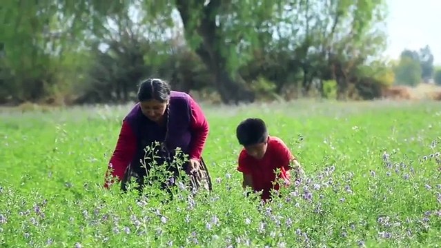 Reflexiones cristianas Aprendiendo a diezmar