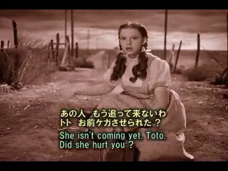 英語学習映画「オズの魔法使」01　英和対訳　サンプル動画