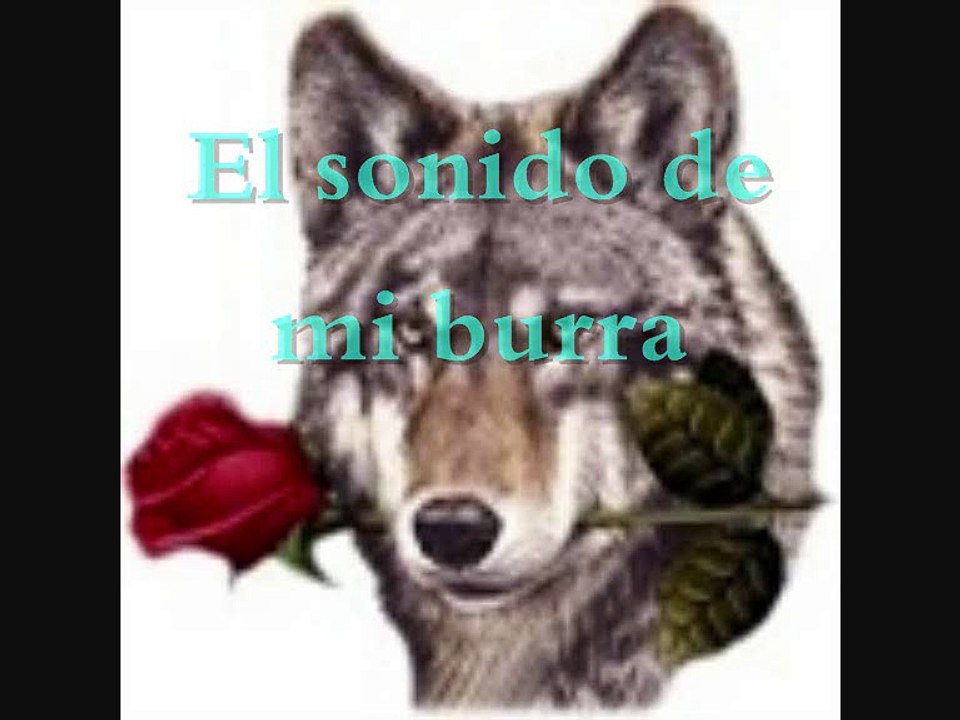 Pura Sangre