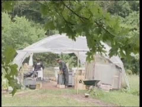 Oh! Légumes Oubliés - Alimenthus