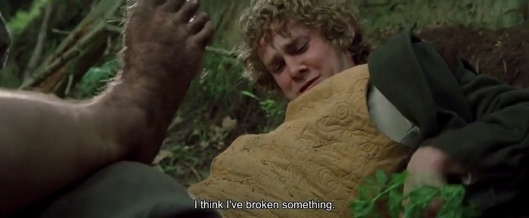 "I think I've broken something" - The Lord of the Rings: The Fellowship of the Ring