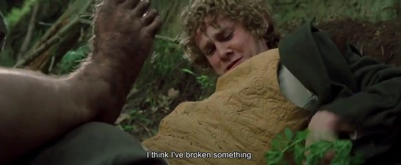 "I think I've broken something" - The Lord of the Rings: The Fellowship of the Ring