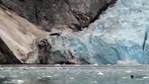 Northwest Glacier calving, Kenai Fjords