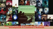 American Energy Imperiled Coast Oil and Gas Development in Louisianas Wetlands