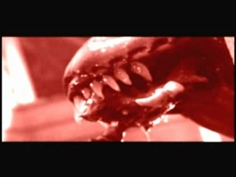 Blood predator alien attack - Trailer