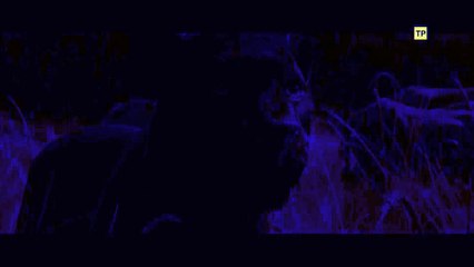 El Libro de la Selva - Spot#2 HD [10 seg] Español