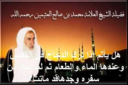 محمد بن عثيمين هل يأثم إذا ترك الدجاج في القفص وعندها الماء والطعام ثم لما عاد من سفره وجدهاقد ماتت؟