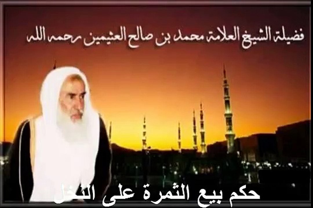 محمد بن عثيمين حكم بيع الثمرة على النخل