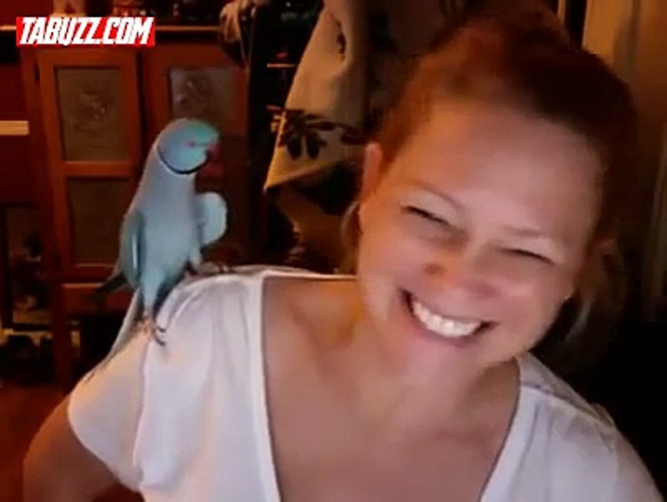 Ce que cette femme a enseigné son perroquet est incroyable
