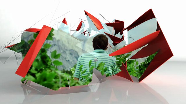 Arte - Incroyables bébés - 23-01-2015 09h00 32m (8607)