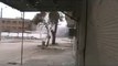 (02\14\2012) Baba Amr | Homs |  A rocket falls on a house