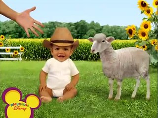 VAMOS BEBÉ Compilacion