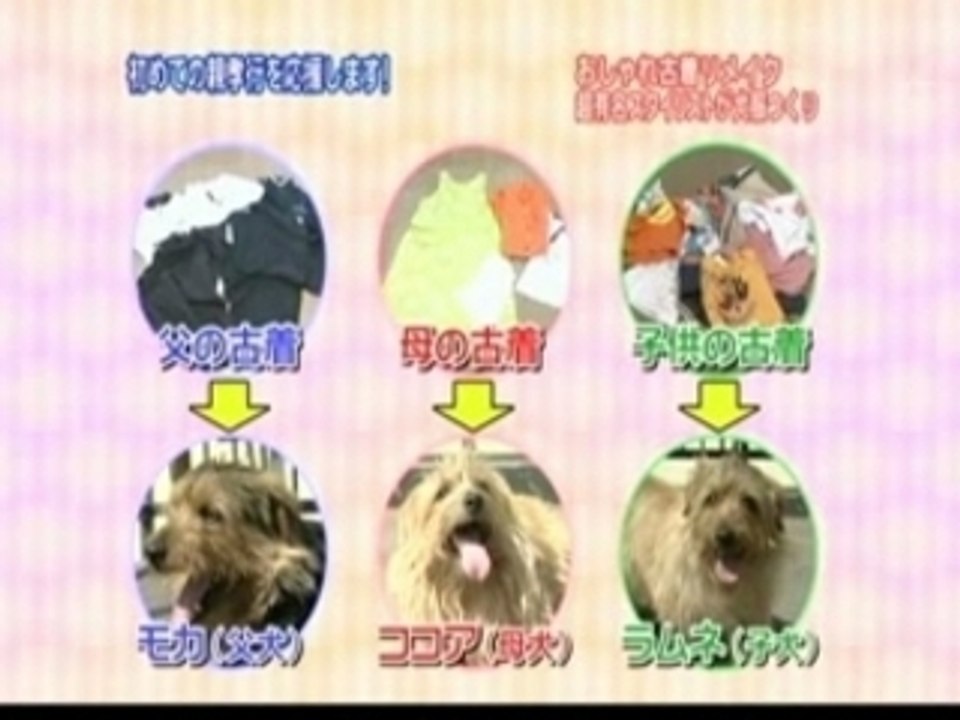 2007-06-02 Part 2