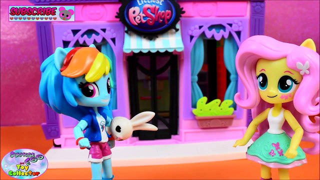My Little Pony Equestria Girls Minis Fluttershy Meets Angel MLP Episode 1 SETC