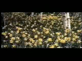 Maurice Jarre - Doctor Zhivago