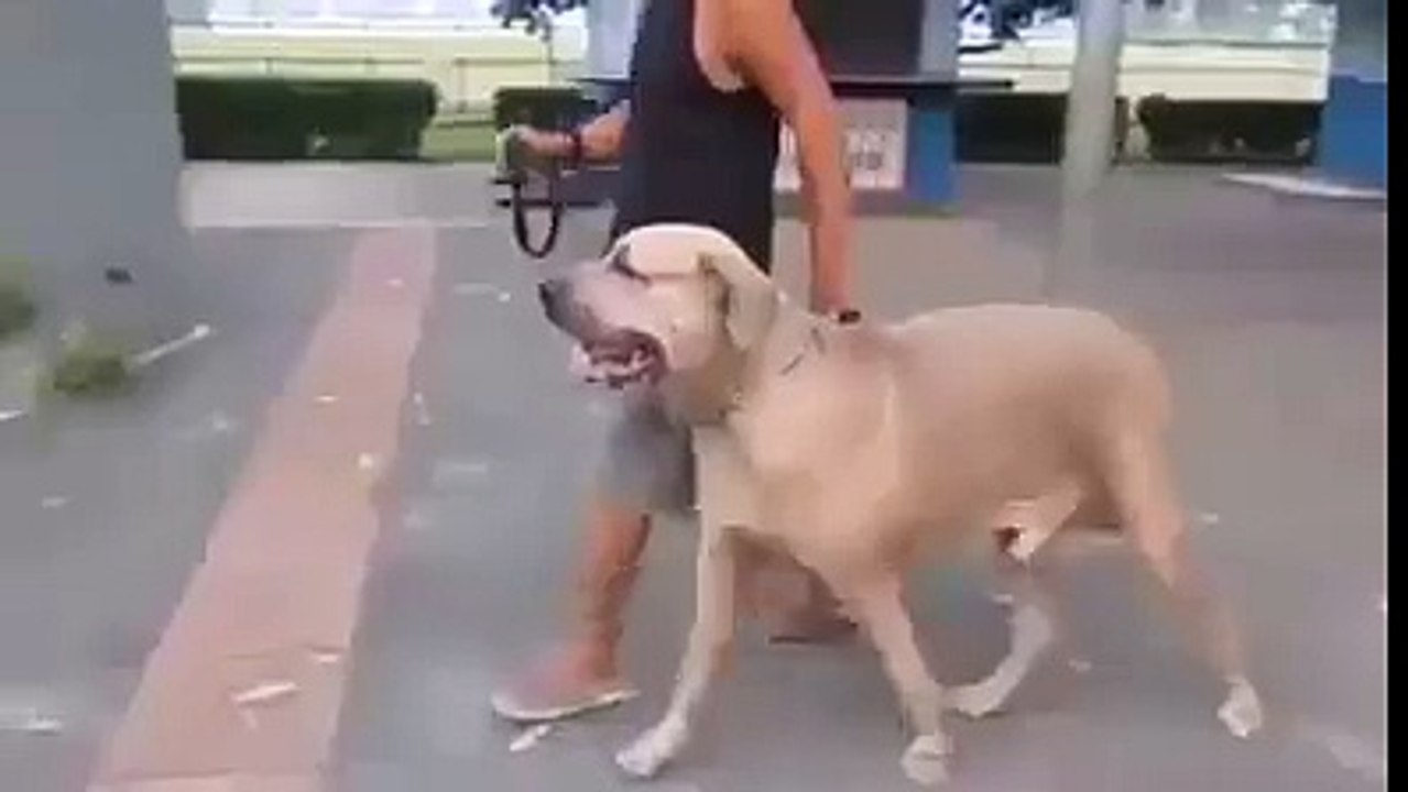 Mom's Love