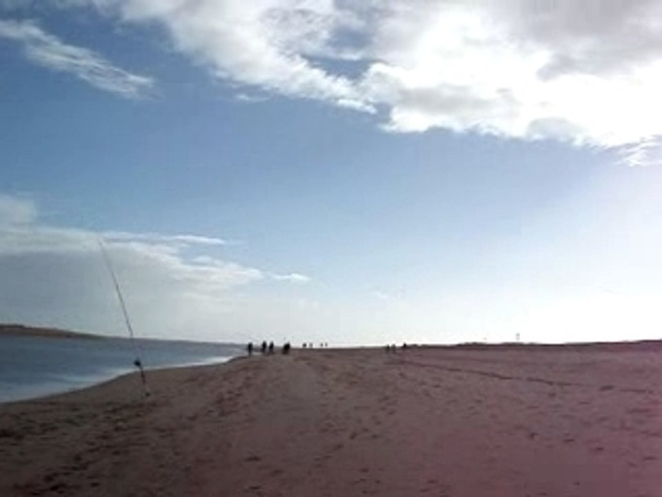 Peche surf casting à la barre d'étel