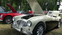 1961 Austin Healey 3000 2014 Shoals British Car Show