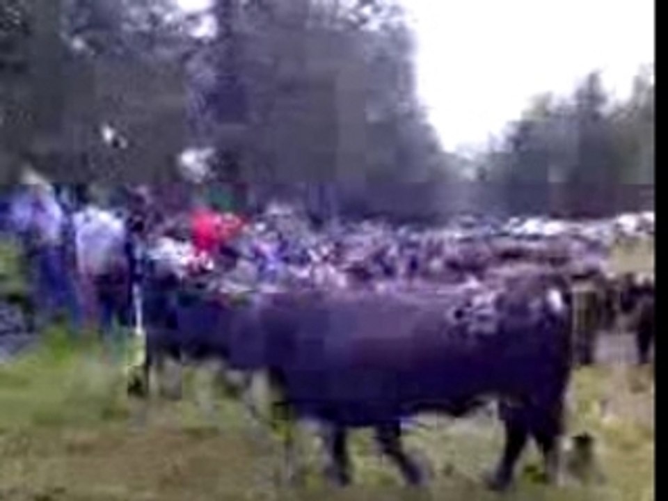 Inalpe Odonne 15 juin 2007 a
