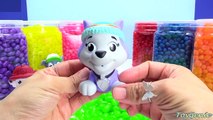 Paw Patrol Jelly Bean Surprises