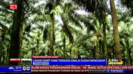 Pemerintah akan Moratorium Izin Lahan Perkebunan dan Tambang