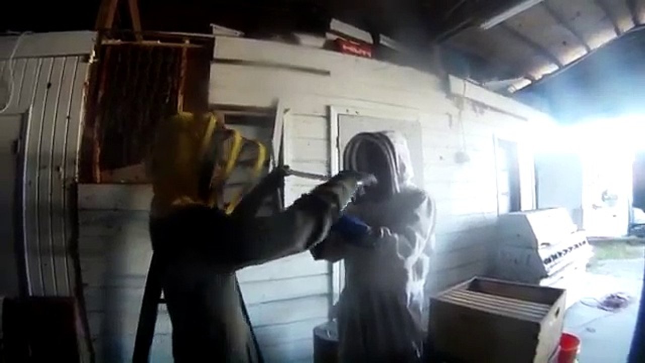 Eco-Bee-Removal-How-to-remove-bees-from-a-wall-Part-1