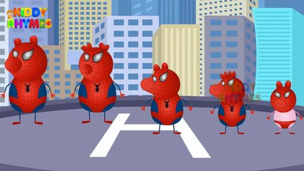 Peppa Pig(Hulk Vs Spiderman)Finger Family Nursery Rhymes Lyrics