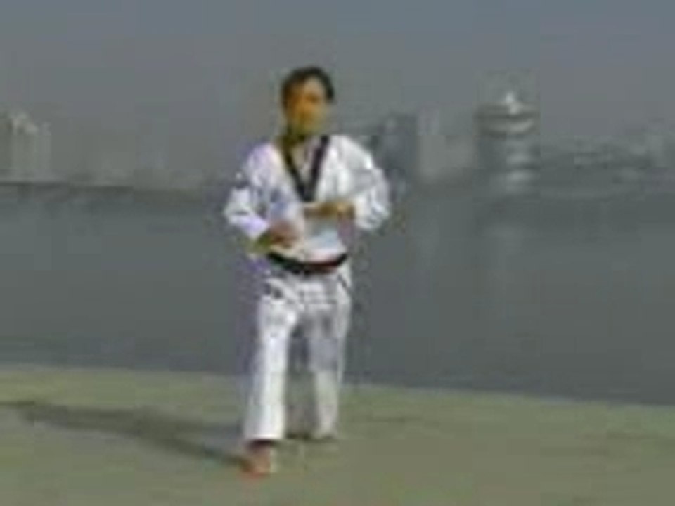 Tae kwon do Forma Cinturon Amarillo hacia verde