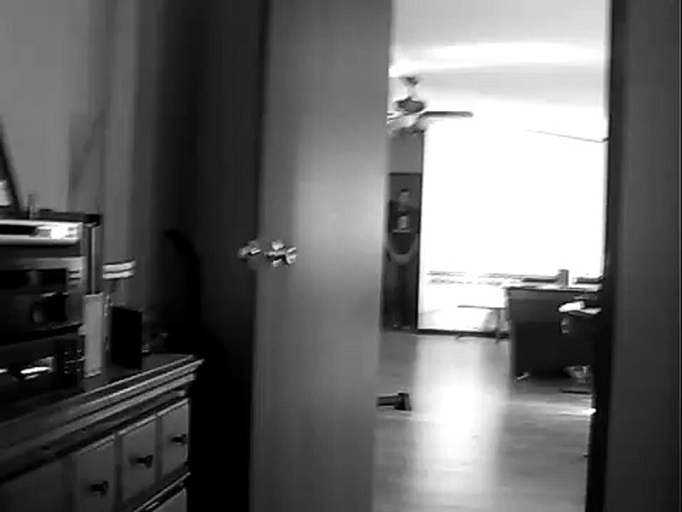 Ninja Cat Pee Pee Dance!