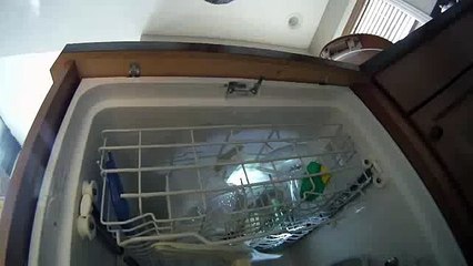 videos graciosos cámara dentro del lavavajillas videos de risa