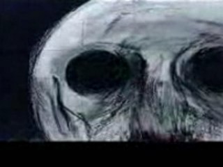 PINK FLOYD THE WALL 5 OF 5