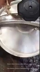 Using Cocker in wrong way