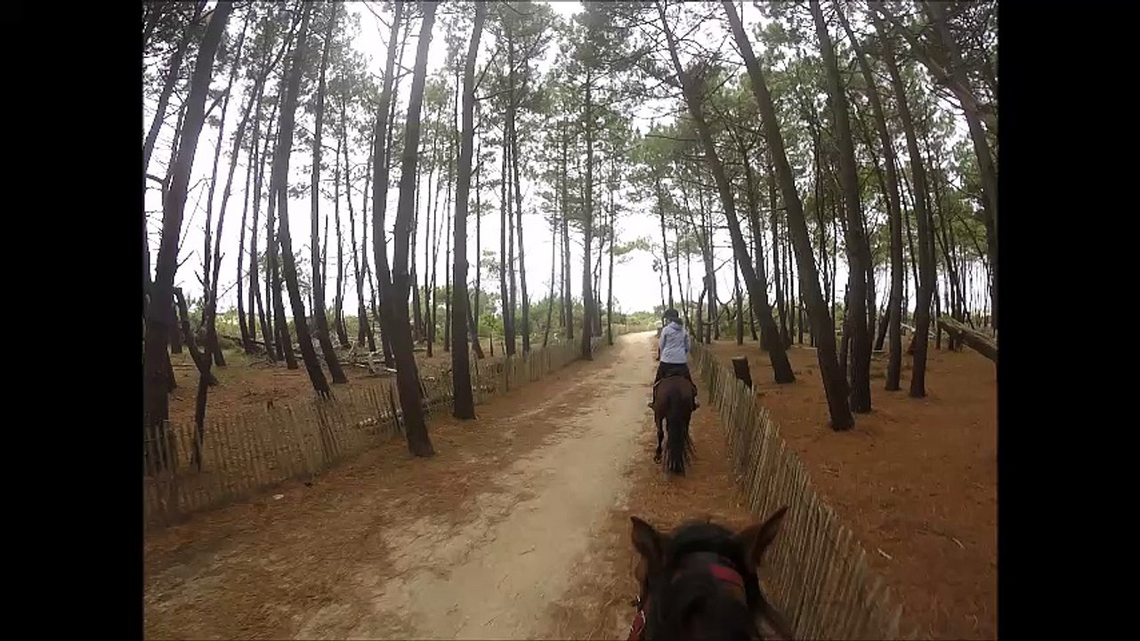 arrivée plage octobre 2015