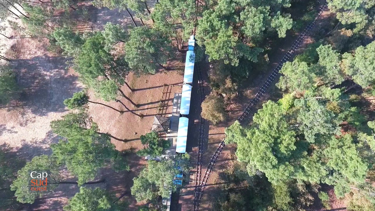 Cap  Sud Ouest: Ile d' Oléron Petit train de Saint Trojan - Maumusson