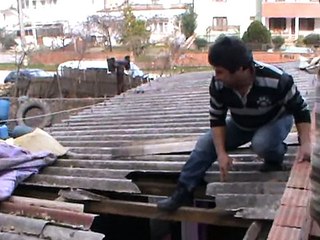 Damdan yatak odasına inek düştü