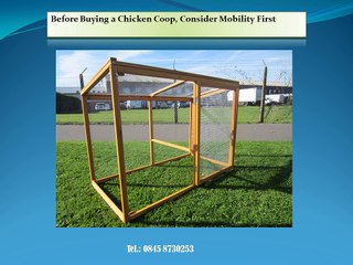 Before Buying a Chicken Coop, Consider Mobility First