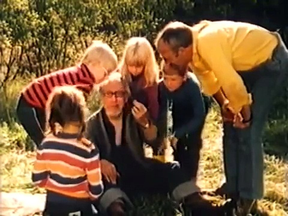 Löwenzahn Classics 004 Wo geht es hier zum Käferzoo